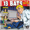 13 BATS image