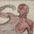 redriguezo thumbnail
