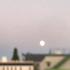 Yoshii thumbnail