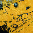 Intermediate thumbnail