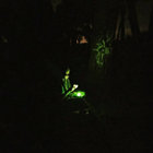 rastamoon thumbnail