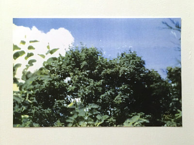 3-color riso print main photo