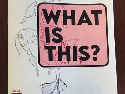 What Is This?  (a zine) main photo
