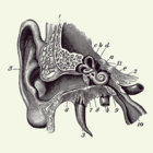 Eartastic#1 thumbnail