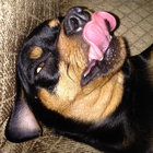 adgoering thumbnail