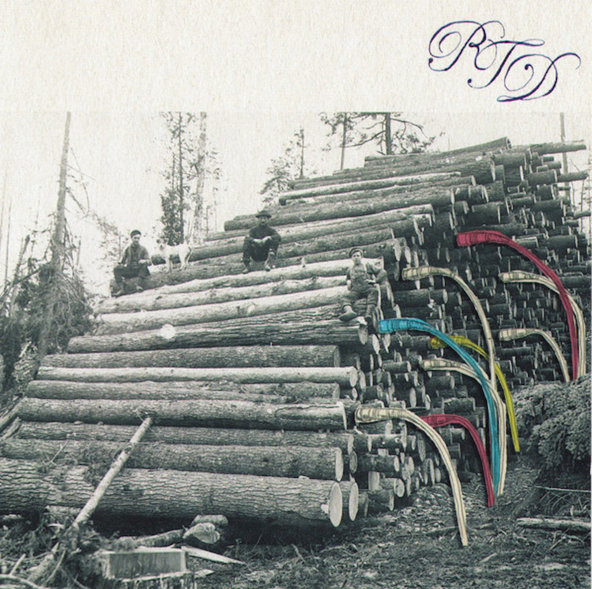 ポップス+ロック(邦楽) THE GUST / THROW THE DICE (CD) Roll The Dice | Roll The Dice