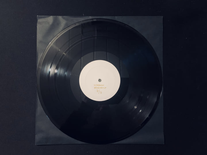 その他 Record Collection LP Home page - Lyn Lapid Official Store