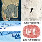 How Strange, Innocence Anniversary Edition Explosions in the Sky