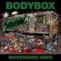Bodybox photo