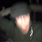 Murphi thumbnail