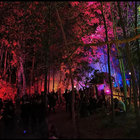 karolybenjamin thumbnail