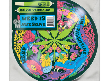 Picture Disc Vinyl (limited edition) main photo