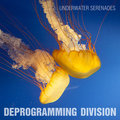 Deprogramming Division image