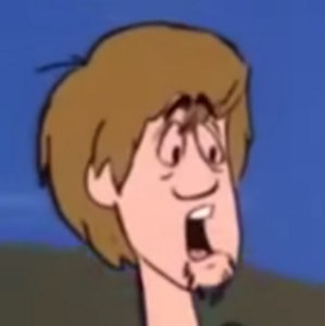 Shaggy
