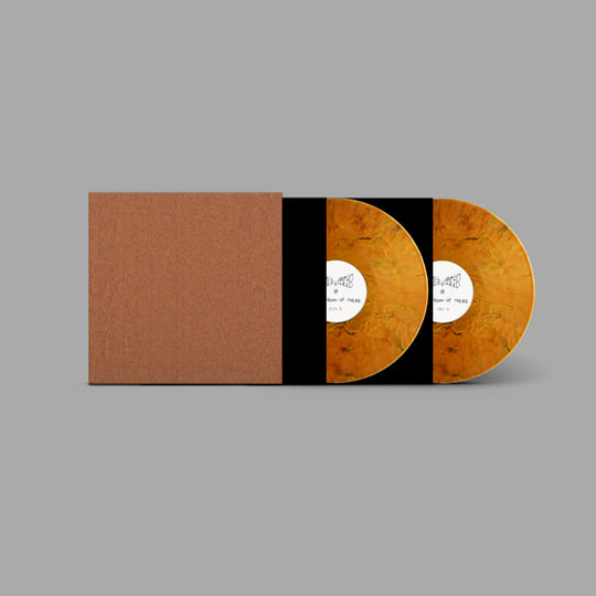 Ants From Up There | Black Country, New Road