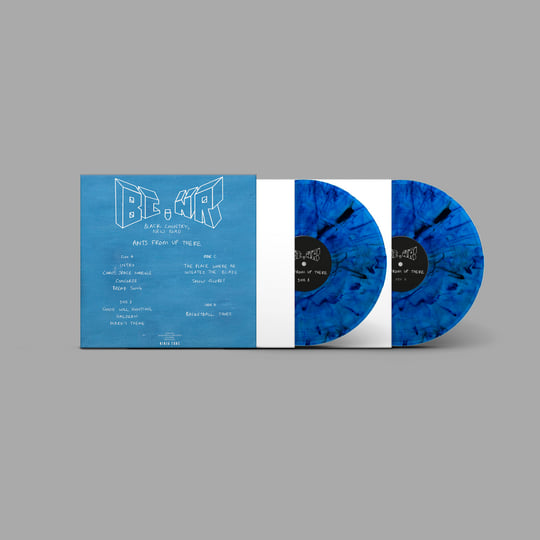 新品2LP 帯付 Black Country New Road Ants Black Country, New Road: Ants From Up There Album Review