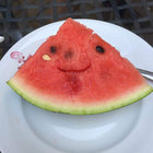 happy camper thumbnail
