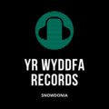 Yr Wyddfa Records image