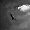 Despondent Transponder | Fleeting Joys