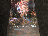 Limited Edition Poster (FROG-181) photo 