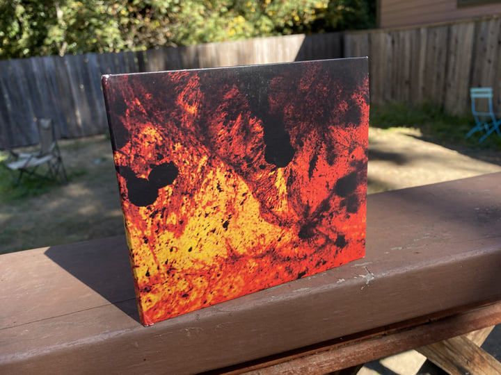 dogspiral2 | the dog of tears | Xexify Records and Sealion Collective