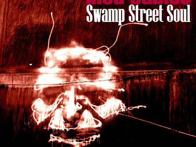 Inca Babies 'Swamp Street Soul' CD Edition main photo