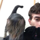 Flynn Mchardy  thumbnail