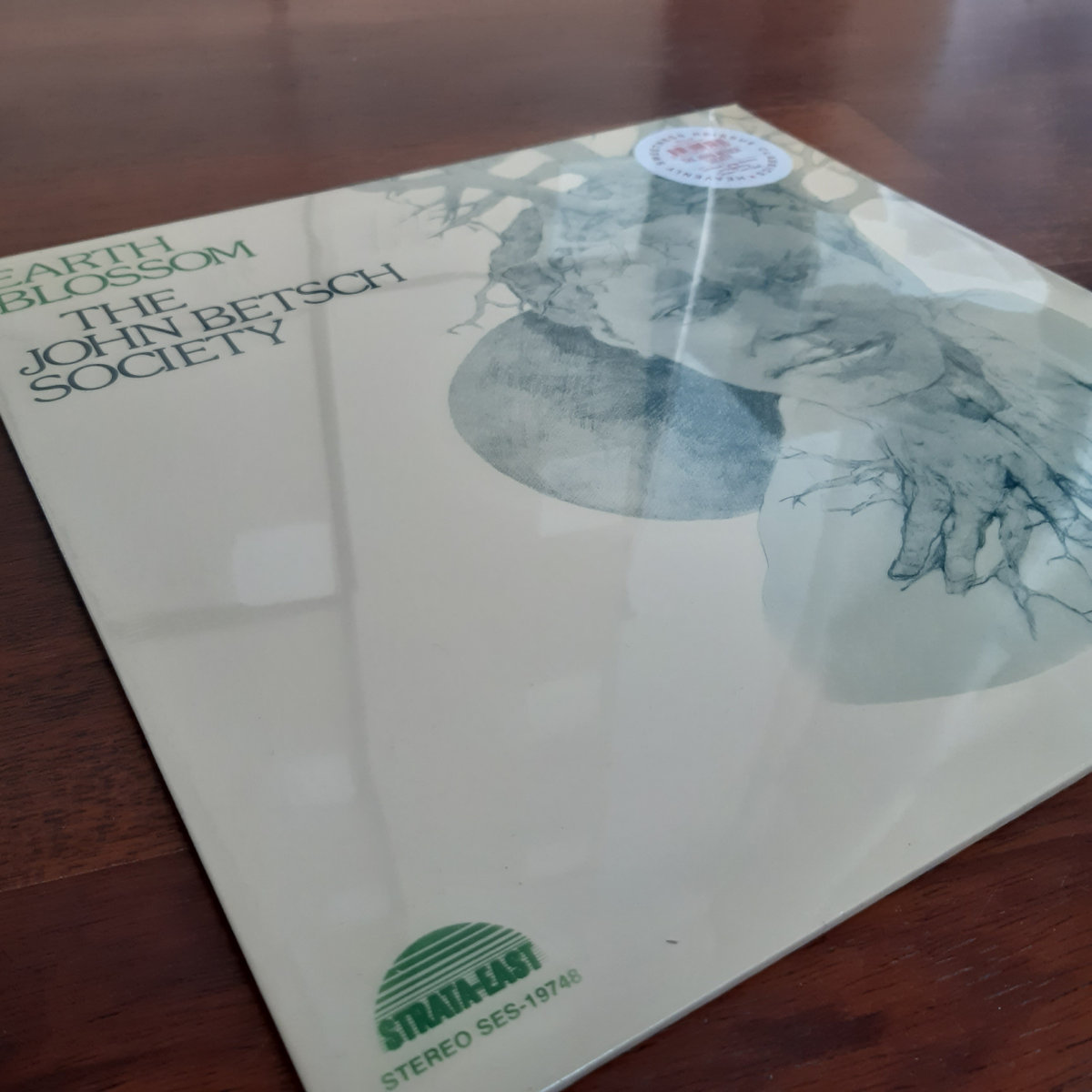 Earth Blossom | The John Betsch Society