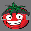 The Velvet Tomato Experiment image