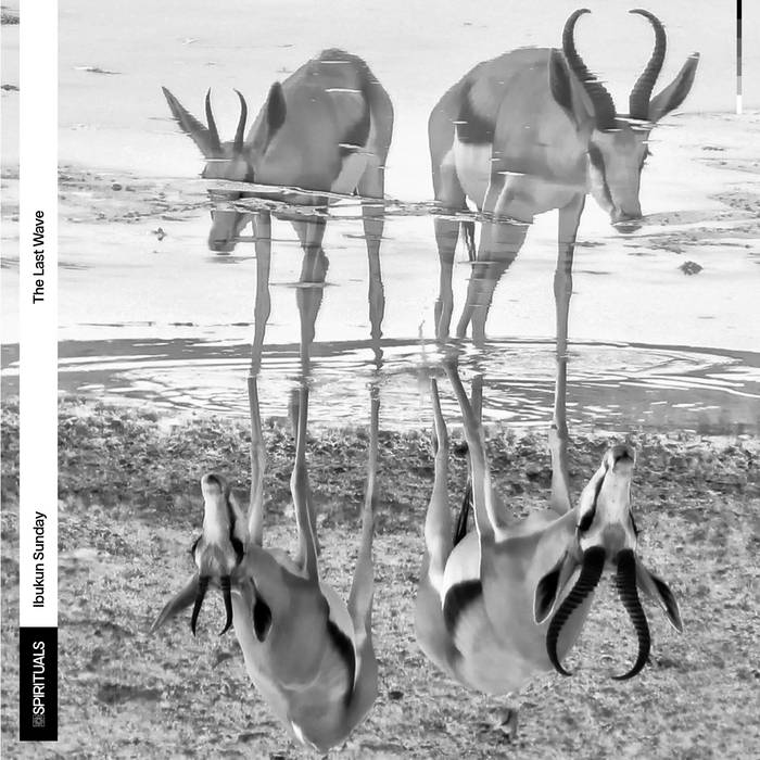 Ibukun Sunday, “The Last Wave” | Bandcamp Daily