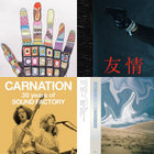 YOUNG WISE MEN | CARNATION
