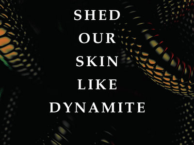 We Shed Our Skin Like Dynamite main photo