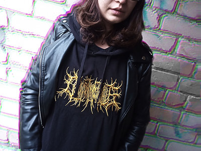 Hoodies - Embroidery with threads (gold logo) main photo