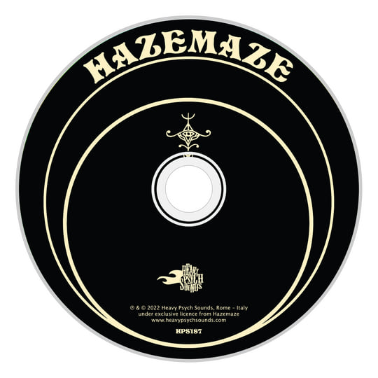 邦楽 DYGL / A Daze in a Haze / LP LP】DYGL / A Daze In A Haze |