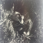 Ivun thumbnail