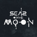 Seas on the moon image