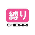 Shibari image