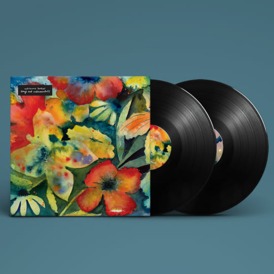 洋楽 ADRIANNE LENKER - SONGSANDINSTRUMENTALS Adrianne Lenker: Songs And Instrumentals Vinyl 2LP