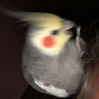 jstntrudoe thumbnail