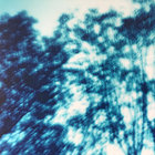 samdylan99 thumbnail