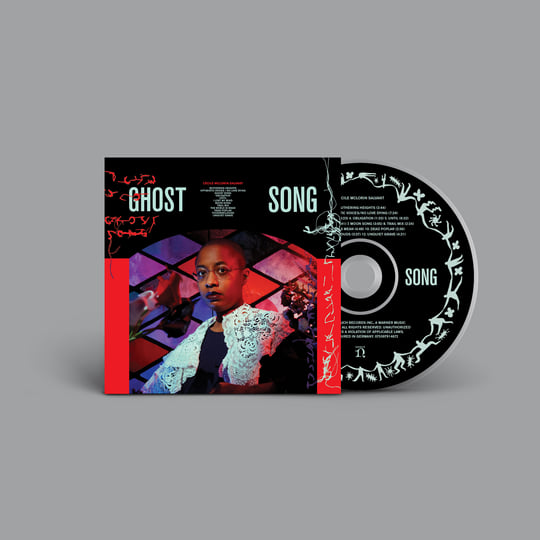 Ghost Song ゴーストソング　新品未開封 Switch Ghost Song - Nintendo Switch – Retro Raven Games