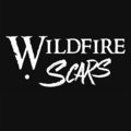 Wildfire Scars image