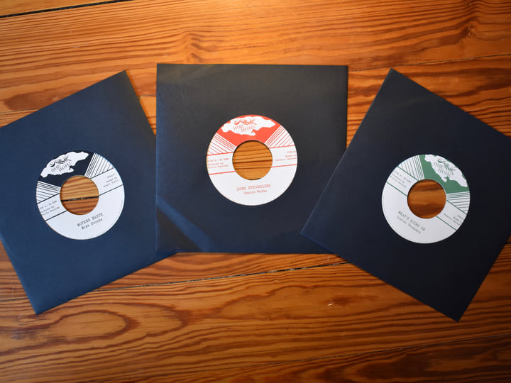 Mother Earth | Mike Brooks / The 18th Parallel | Fruits Records