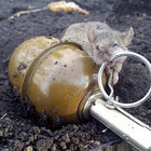 rottencranberries thumbnail