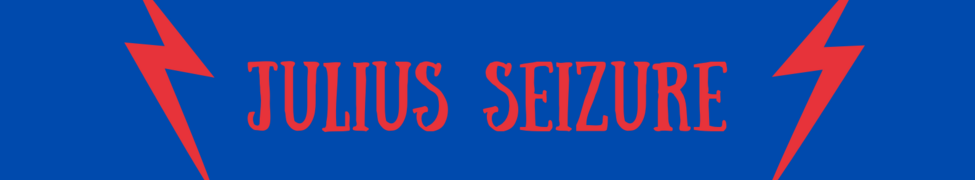 Julius Seizure — Photo