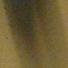 Jordan Gertner thumbnail