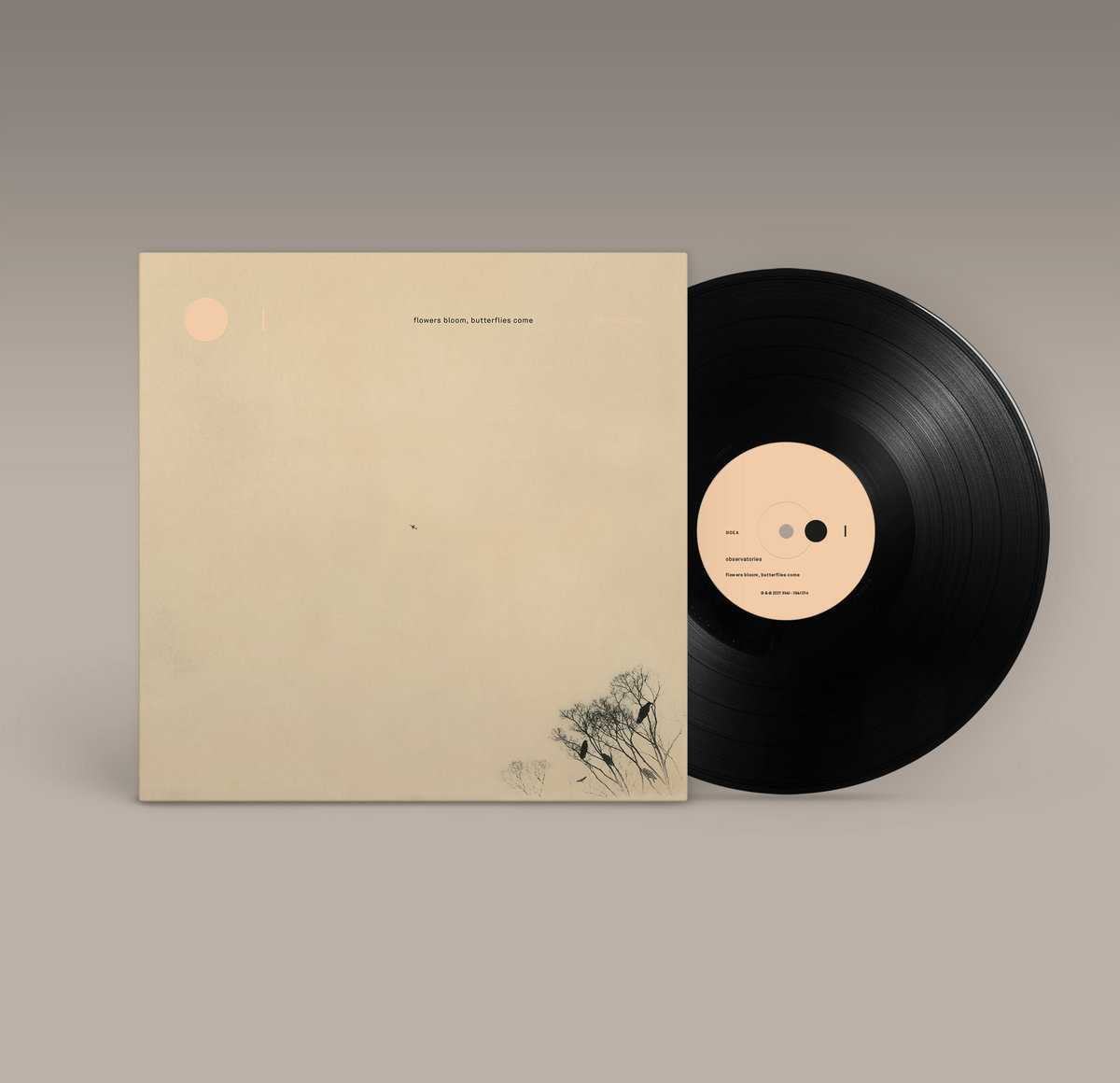 flowers bloom, butterflies come observatories folk reels