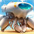 crabbot4339 thumbnail