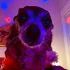 dormilona_zzz thumbnail