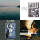 Angelfish | And Also The Trees